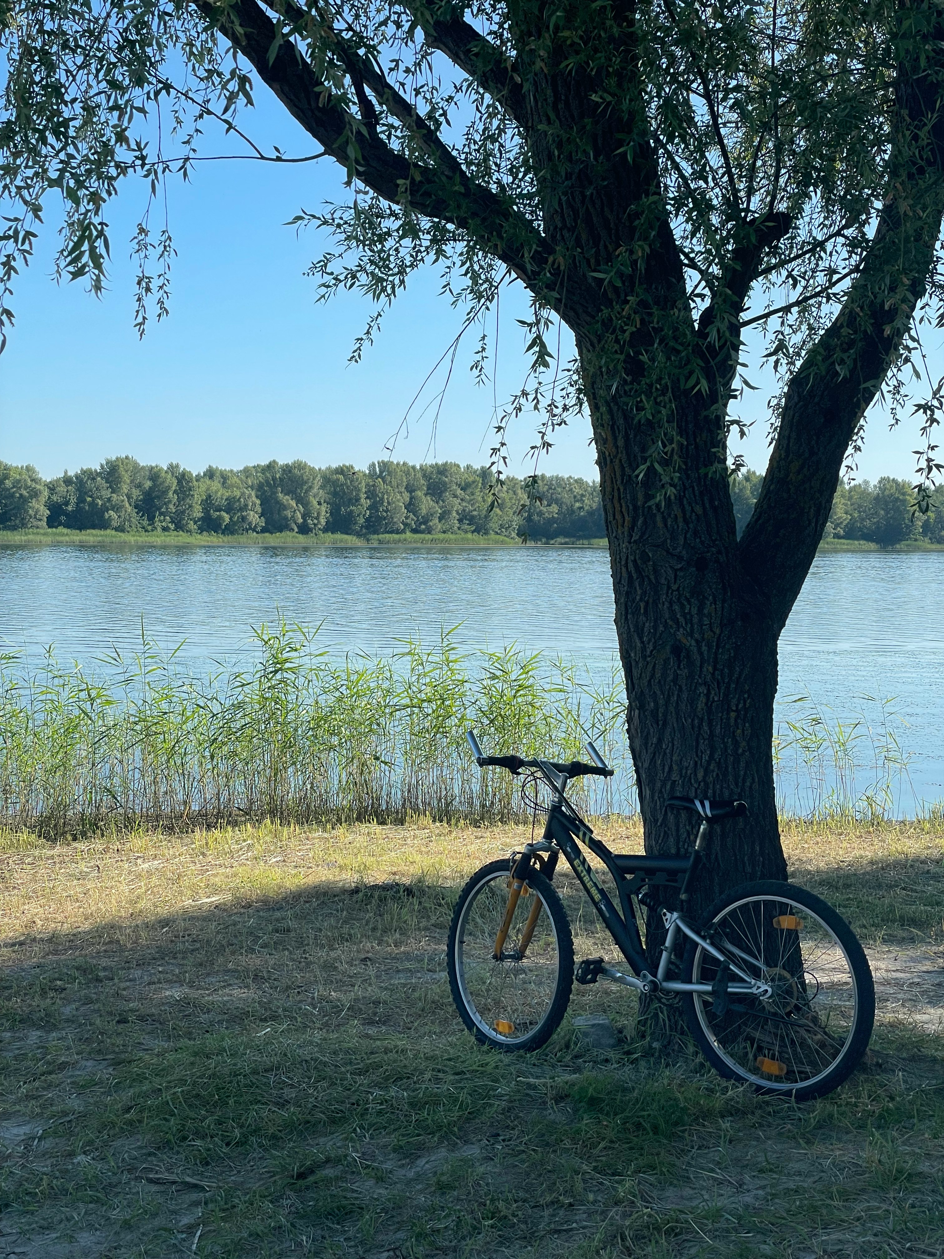 Biking